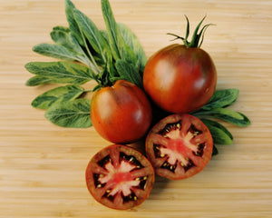 Tomate "Black Trifele 2"