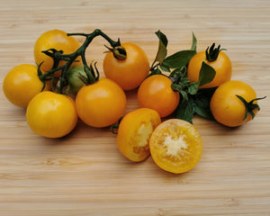 Tomate "Goldene Königin"