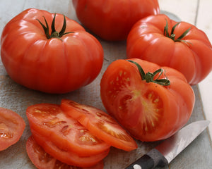 Tomate "Marmande"