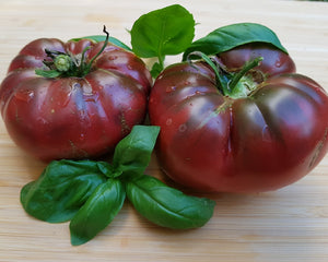 Tomate "Black Krim"